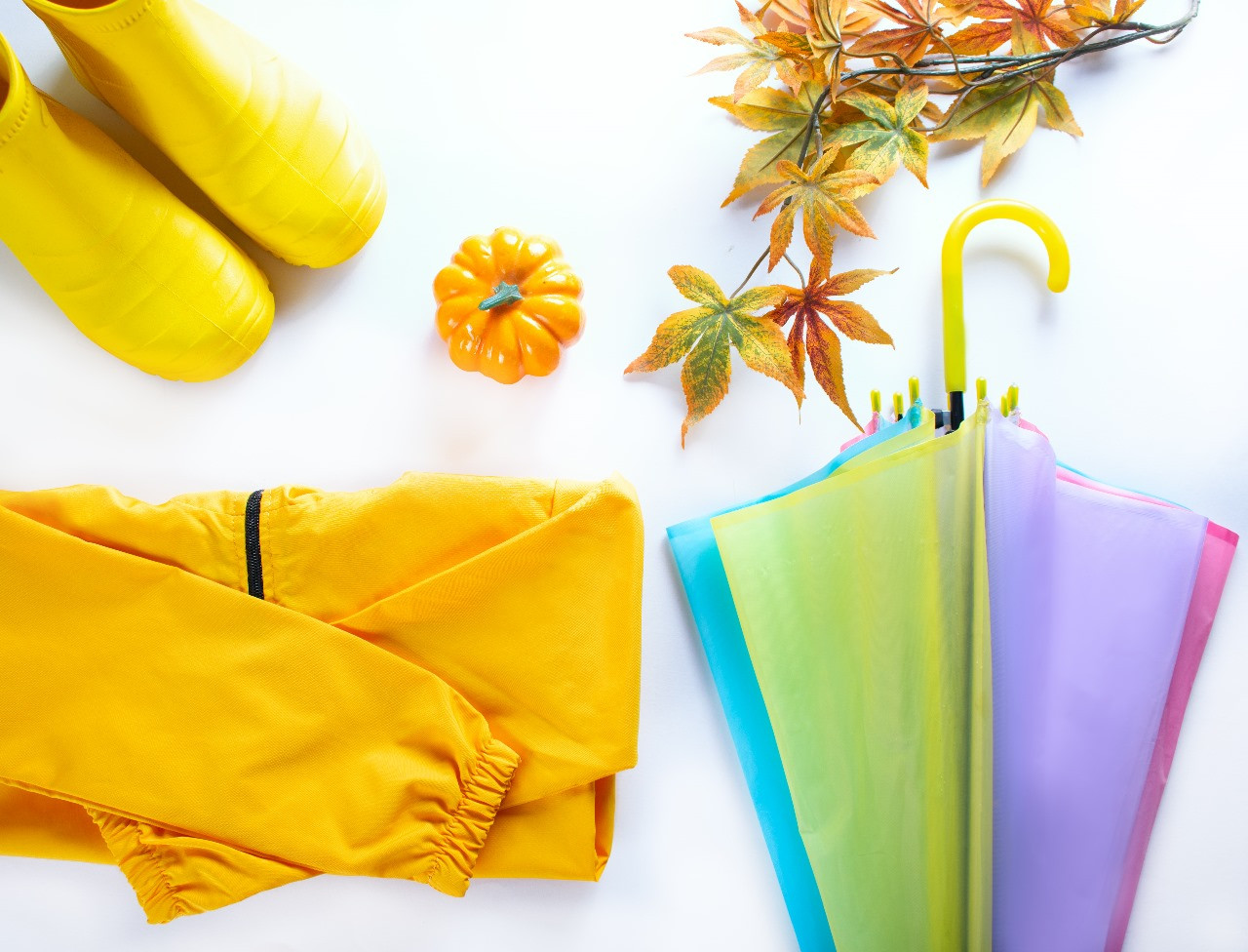 ছাতা এবং এক্সেসরিস - Umbrella and Accessories